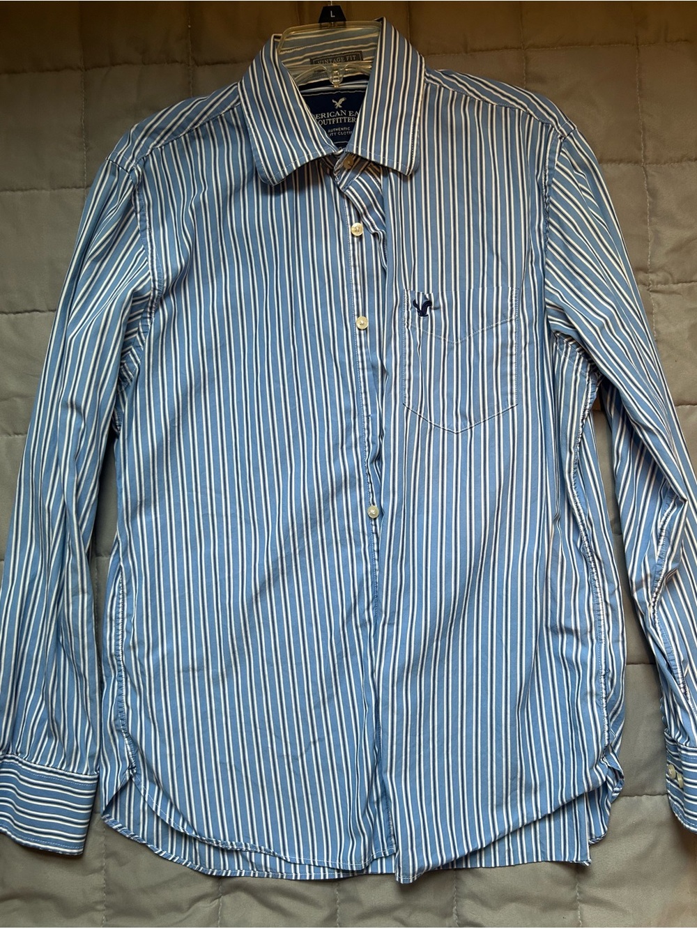 American Eagle Outfitters Blue & White Vertical Stripe Dress Shirt